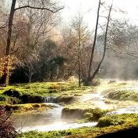 Coin de nature en Périgor