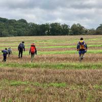 A travers les champs du Périgord