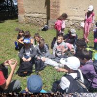 L' Ecologie expliquée aux enfants