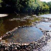 Etonnante formation aquatique