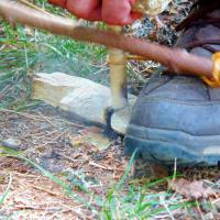 Comment faire du feu